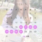 ヒメ日記 2026/05/20 14:01 投稿 みれい 即アポ奥さん〜名古屋店〜