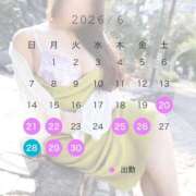 ヒメ日記 2026/06/20 12:24 投稿 みれい 即アポ奥さん〜名古屋店〜