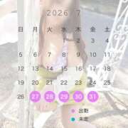 ヒメ日記 2026/07/27 23:14 投稿 みれい 即アポ奥さん〜名古屋店〜