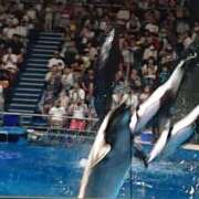 ヒメ日記 2025/09/16 12:55 投稿 きりの 丸妻 厚木店