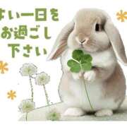 ヒメ日記 2025/12/31 12:32 投稿 きりの 丸妻 厚木店