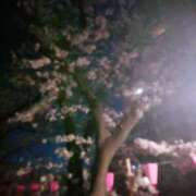 ヒメ日記 2026/04/07 19:00 投稿 きりの 丸妻 厚木店