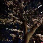 ヒメ日記 2026/04/18 01:03 投稿 きりの 丸妻 厚木店