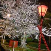 ヒメ日記 2025/04/08 22:47 投稿 難かれん スピード日本橋店