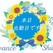 ヒメ日記 2025/08/06 11:32 投稿 しいな AVANCE福岡