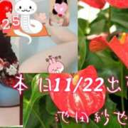 ヒメ日記 2025/01/22 13:08 投稿 池田紗也子 五十路マダム エクスプレス京都店