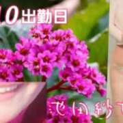 ヒメ日記 2025/02/10 05:36 投稿 池田紗也子 五十路マダム エクスプレス京都店