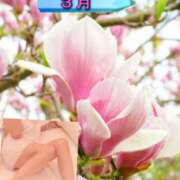 ヒメ日記 2025/03/01 14:58 投稿 池田紗也子 五十路マダム エクスプレス京都店