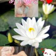 ヒメ日記 2025/04/28 01:20 投稿 池田紗也子 五十路マダム エクスプレス京都店