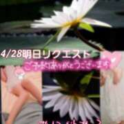 ヒメ日記 2025/04/28 01:26 投稿 池田紗也子 五十路マダム エクスプレス京都店