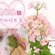 ヒメ日記 2025/04/28 07:28 投稿 池田紗也子 五十路マダム エクスプレス京都店