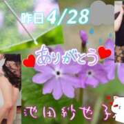 ヒメ日記 2025/04/29 20:24 投稿 池田紗也子 五十路マダム エクスプレス京都店