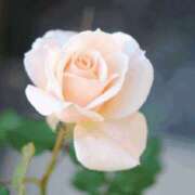 ヒメ日記 2025/05/01 11:56 投稿 池田紗也子 五十路マダム エクスプレス京都店