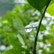 ヒメ日記 2025/05/09 12:38 投稿 池田紗也子 五十路マダム エクスプレス京都店