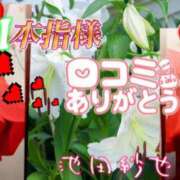 ヒメ日記 2025/05/12 13:08 投稿 池田紗也子 五十路マダム エクスプレス京都店