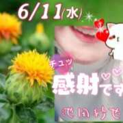 ヒメ日記 2025/06/11 18:22 投稿 池田紗也子 五十路マダム エクスプレス京都店