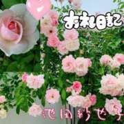 ヒメ日記 2025/07/31 08:40 投稿 池田紗也子 五十路マダム エクスプレス京都店