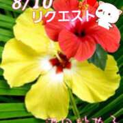 ヒメ日記 2025/08/10 09:26 投稿 池田紗也子 五十路マダム エクスプレス京都店