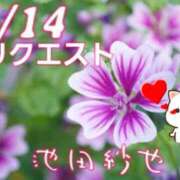 ヒメ日記 2025/08/14 06:30 投稿 池田紗也子 五十路マダム エクスプレス京都店