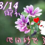 ヒメ日記 2025/08/18 09:08 投稿 池田紗也子 五十路マダム エクスプレス京都店