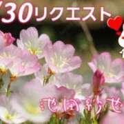 ヒメ日記 2025/08/30 16:12 投稿 池田紗也子 五十路マダム エクスプレス京都店