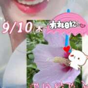 ヒメ日記 2025/09/11 06:20 投稿 池田紗也子 五十路マダム エクスプレス京都店