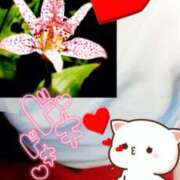 ヒメ日記 2025/10/10 01:08 投稿 池田紗也子 五十路マダム エクスプレス京都店