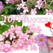 ヒメ日記 2025/10/10 15:26 投稿 池田紗也子 五十路マダム エクスプレス京都店