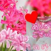 ヒメ日記 2025/11/17 14:58 投稿 池田紗也子 五十路マダム エクスプレス京都店