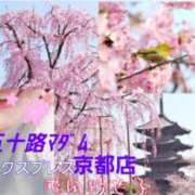 ヒメ日記 2026/03/04 09:44 投稿 池田紗也子 五十路マダム エクスプレス京都店