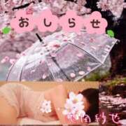 ヒメ日記 2026/03/25 14:00 投稿 池田紗也子 五十路マダム エクスプレス京都店