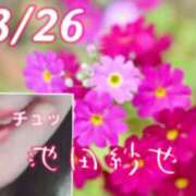 ヒメ日記 2026/03/26 10:08 投稿 池田紗也子 五十路マダム エクスプレス京都店