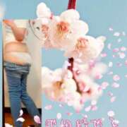 ヒメ日記 2026/04/07 17:18 投稿 池田紗也子 五十路マダム エクスプレス京都店