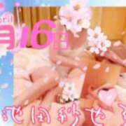 ヒメ日記 2026/04/16 08:18 投稿 池田紗也子 五十路マダム エクスプレス京都店