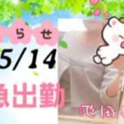 ヒメ日記 2026/05/13 12:18 投稿 池田紗也子 五十路マダム エクスプレス京都店