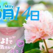 ヒメ日記 2026/05/14 07:54 投稿 池田紗也子 五十路マダム エクスプレス京都店