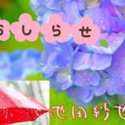 ヒメ日記 2026/06/20 08:54 投稿 池田紗也子 五十路マダム エクスプレス京都店