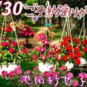 ヒメ日記 2026/07/30 07:42 投稿 池田紗也子 五十路マダム エクスプレス京都店