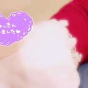 ヒメ日記 2025/02/10 14:11 投稿 こより SUZUME