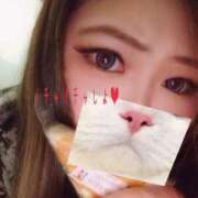 ヒメ日記 2024/12/14 17:48 投稿 まなみ 京都祇園・南インターちゃんこ