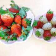 ヒメ日記 2025/02/06 12:02 投稿 まなみ 京都祇園・南インターちゃんこ