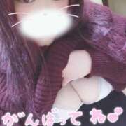 ヒメ日記 2025/03/17 12:03 投稿 まなみ 京都祇園・南インターちゃんこ