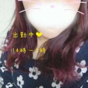 ヒメ日記 2025/03/21 12:37 投稿 まなみ 京都祇園・南インターちゃんこ