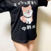 ヒメ日記 2025/11/26 19:54 投稿 藍沢 雪菜 Ｅ231　痴漢特区