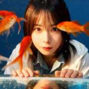 ヒメ日記 2026/01/15 20:07 投稿 藍沢 雪菜 Ｅ231　痴漢特区