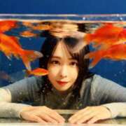 ヒメ日記 2026/02/20 18:44 投稿 藍沢 雪菜 Ｅ231　痴漢特区