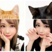 ヒメ日記 2026/03/25 18:49 投稿 藍沢 雪菜 Ｅ231　痴漢特区