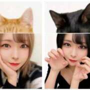 藍沢 雪菜 [お題]from:ぴぴさん Ｅ231　痴漢特区