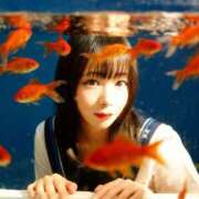 ヒメ日記 2026/08/19 20:25 投稿 藍沢 雪菜 Ｅ231　痴漢特区