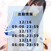 ヒメ日記 2024/12/12 05:17 投稿 いつき 川崎ソープ　クリスタル京都南町